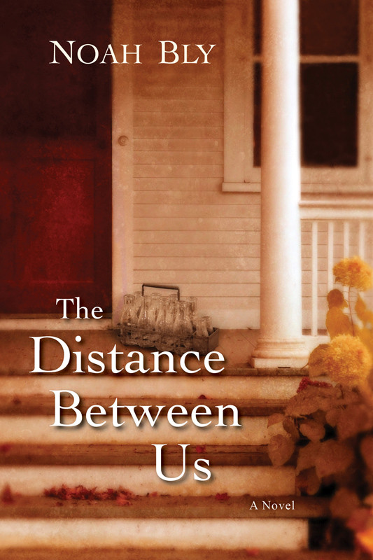 The Distance Between Us Bly Noah