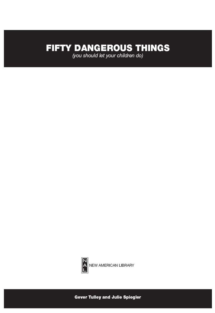 50 Dangerous Things You Should Let Your Children Do Gever Tulley Julie Spiegler