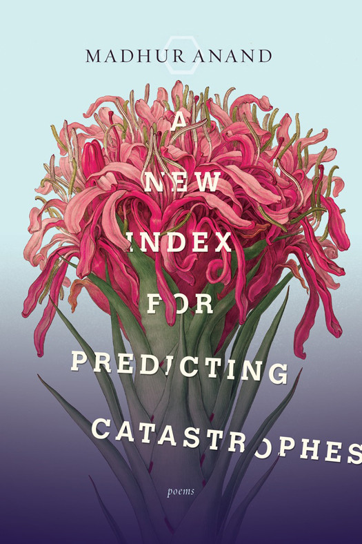 A New Index For Predicting Catastrophes Anand Madhur