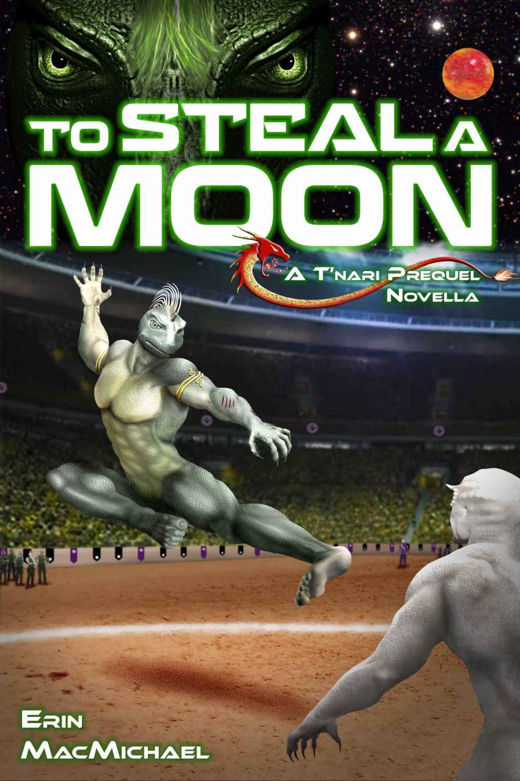 To Steal A Moon Macmichael Erin