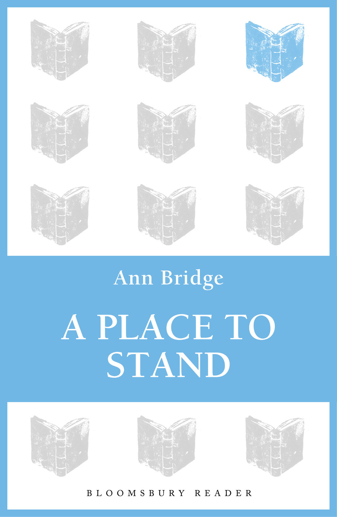 A Place To Stand Bridge Ann