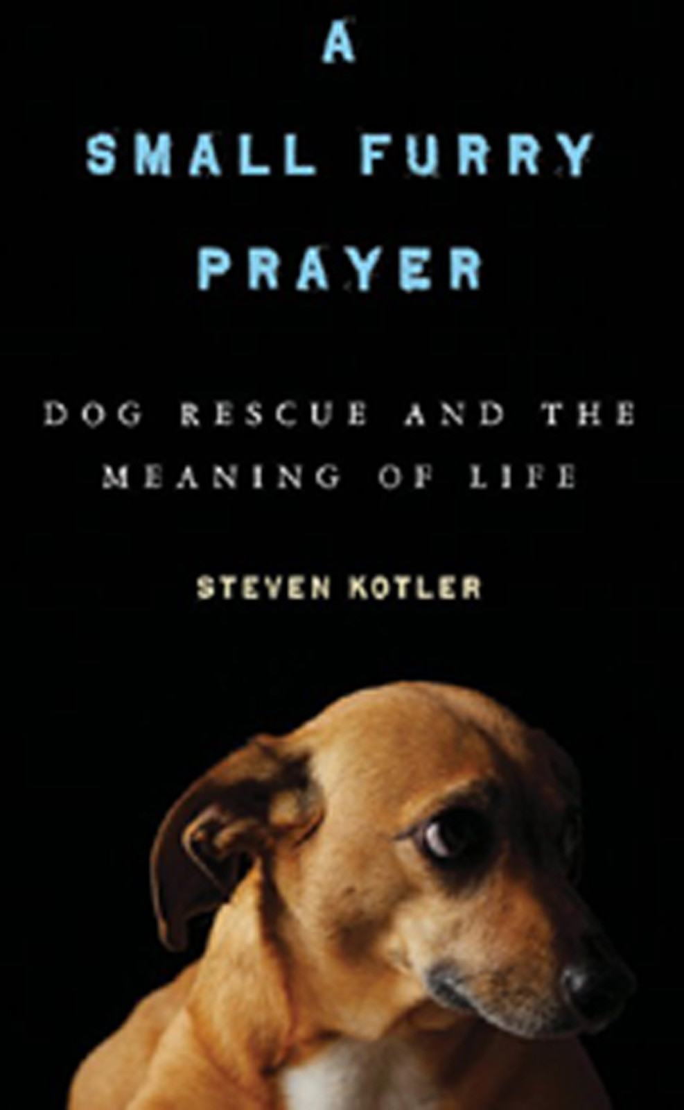 A Small Furry Prayer Kotler Steven
