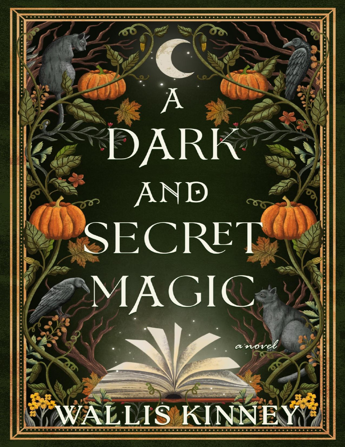 A Dark And Secret Magic 1st Edition Wallis Kinney