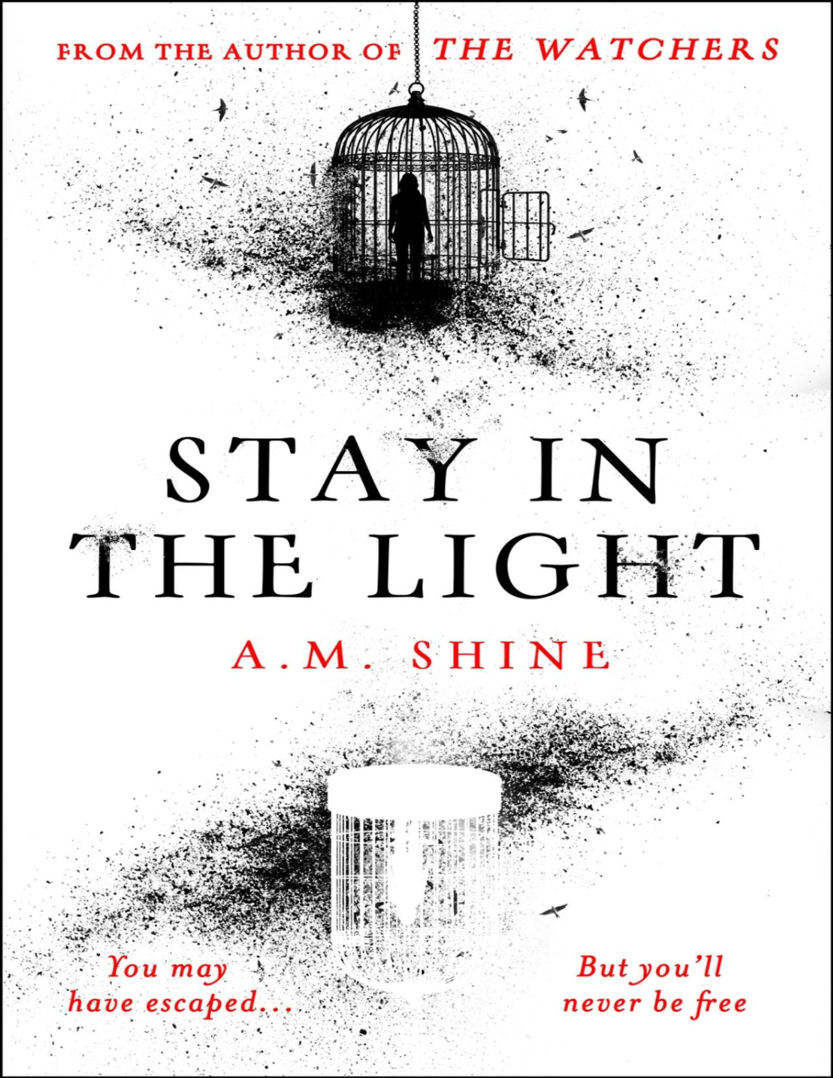 Stay In The Light The Watchers 02 Am Shine