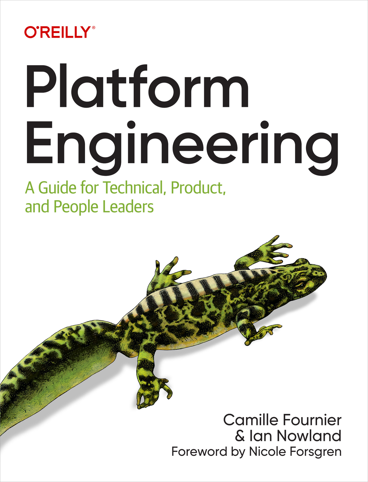 Platform Engineering A Guide For Technical Product And People Leaders Camille Fournier Ian Nowland