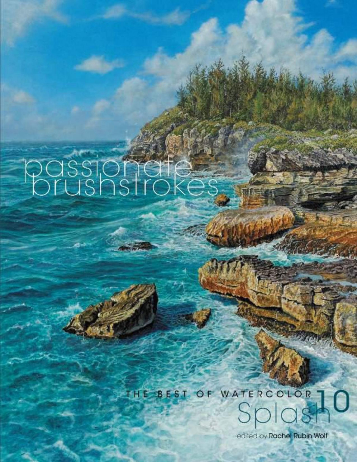 Splash 10 Passionate Brushstrokes Rachel Rubin Wolf