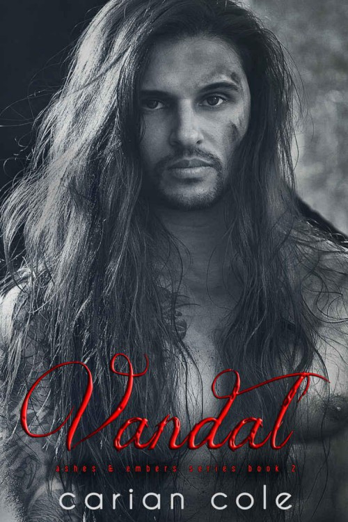 Ashes Embers 02 Vandal Cole Carian