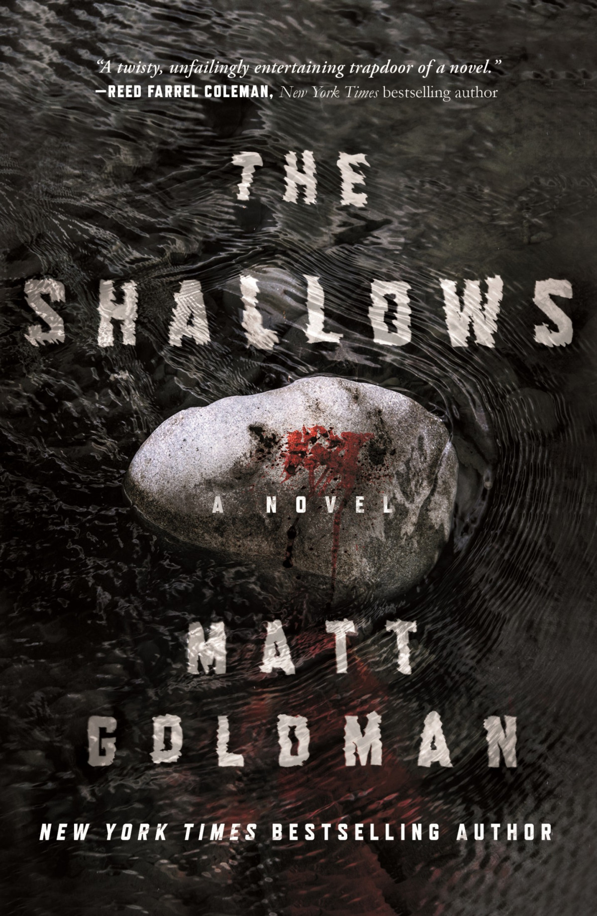 Nils Shapiro 03 The Shallows Goldman Matt