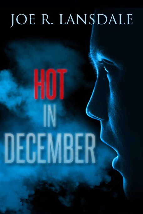 Hot In December Lansdale Joe