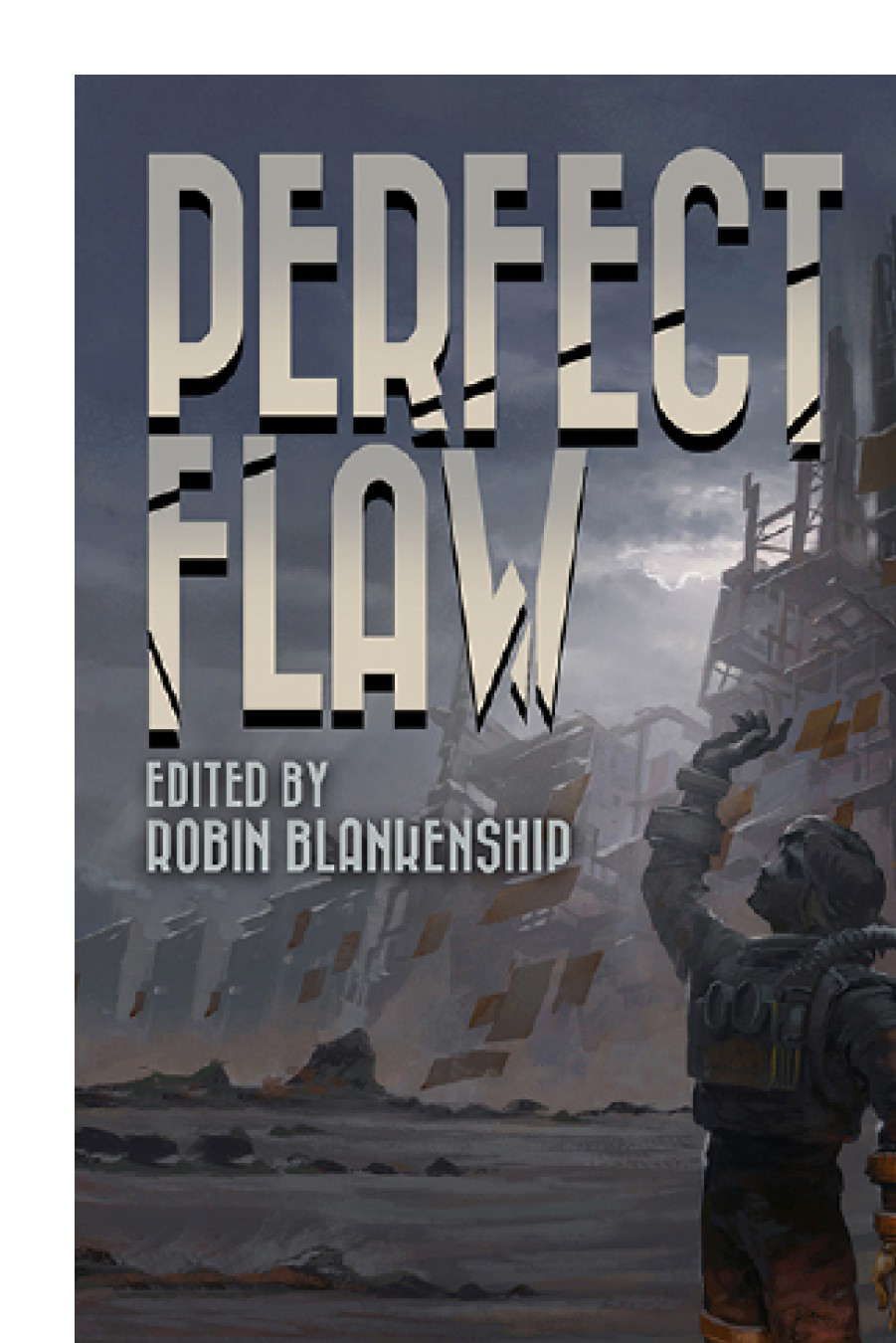 Perfect Flaw Blankenship Robin