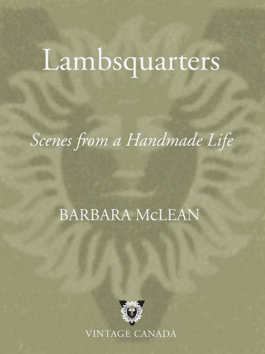 Lambsquarters Mclean Barbara