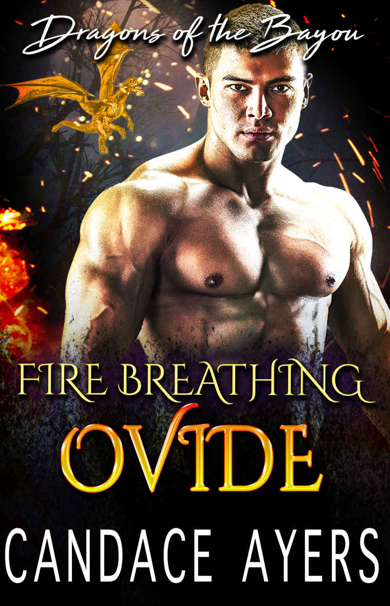 Dragons Of The Bayou 06 Fire Breathing Ovide Ayers Candace