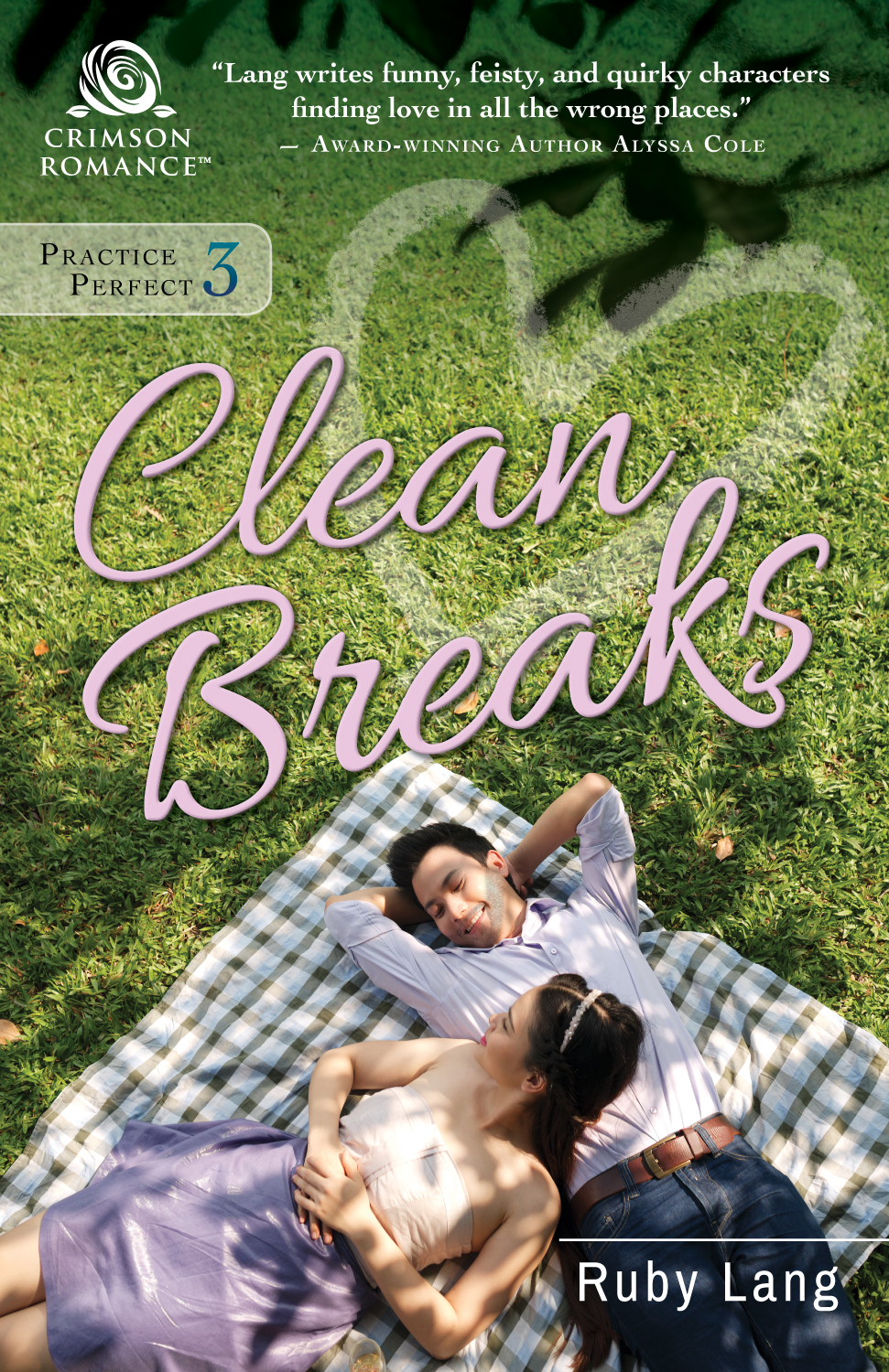 Practice Perfect 03 Clean Breaks Lang Ruby