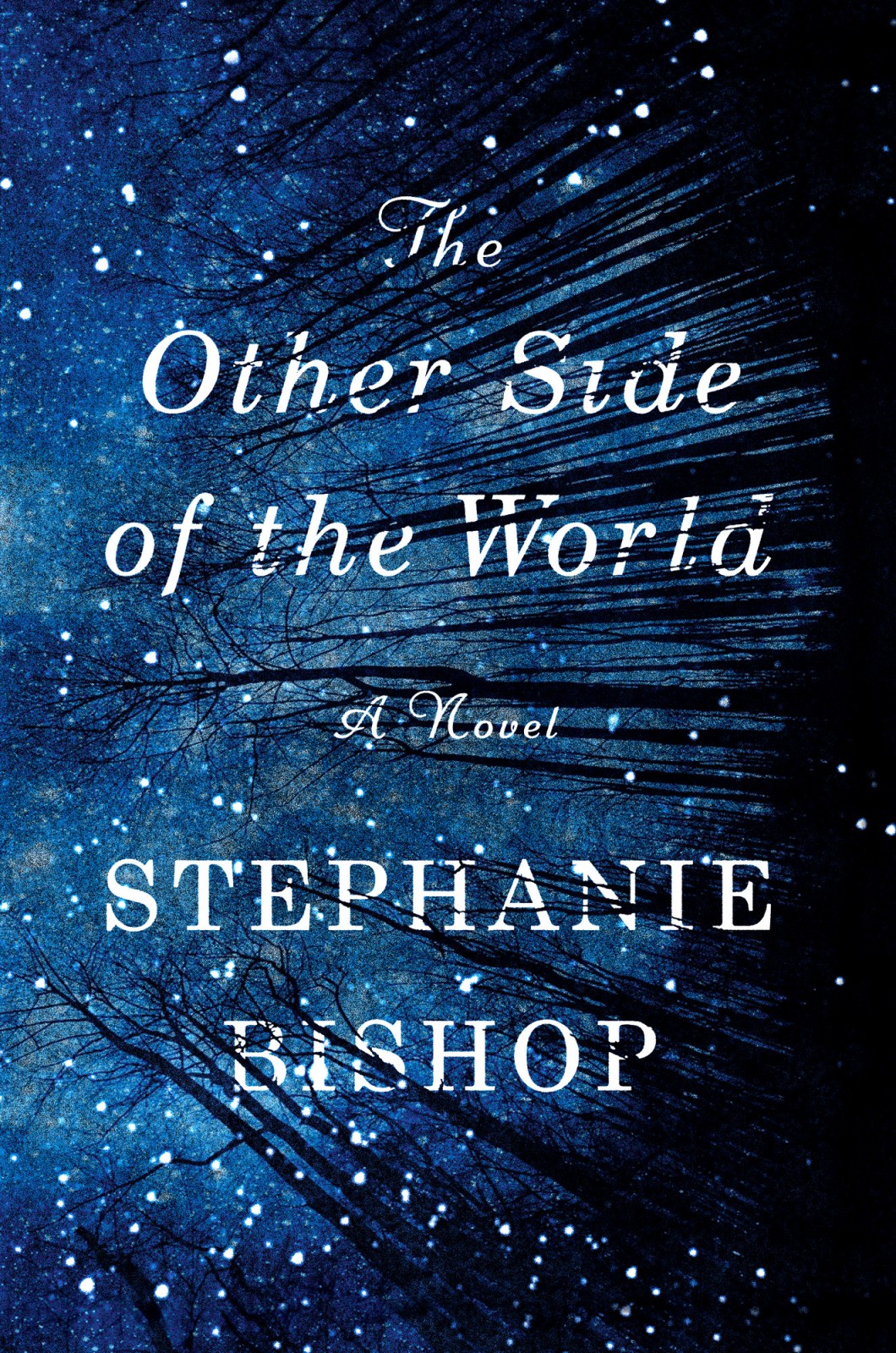 The Other Side Of The World Bishop Stephanie