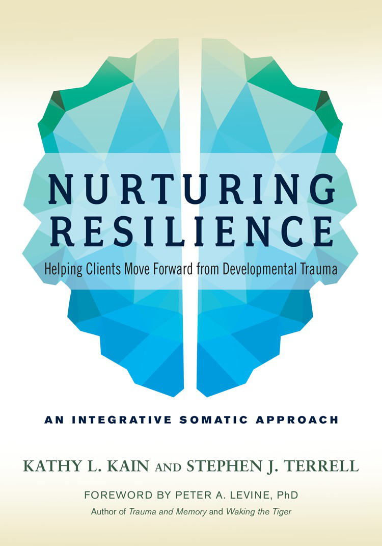 Nurturing Resilience Kathy L Kain Stephen J Terrell