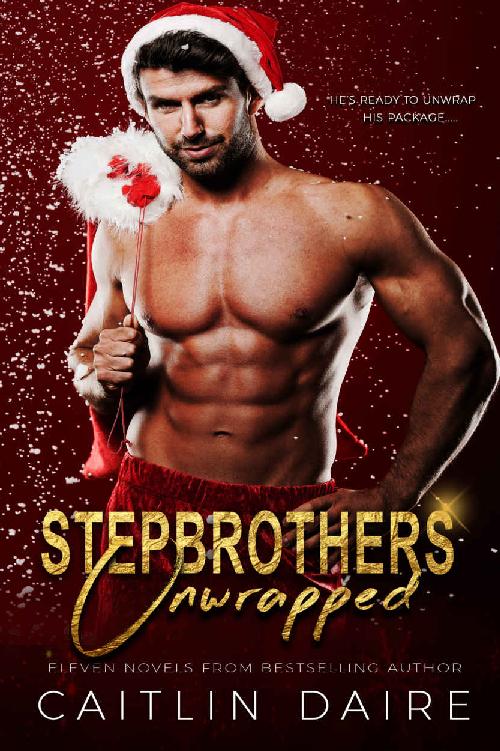Stepbrothers Unwrapped A Christmas Collection Daire Caitlin