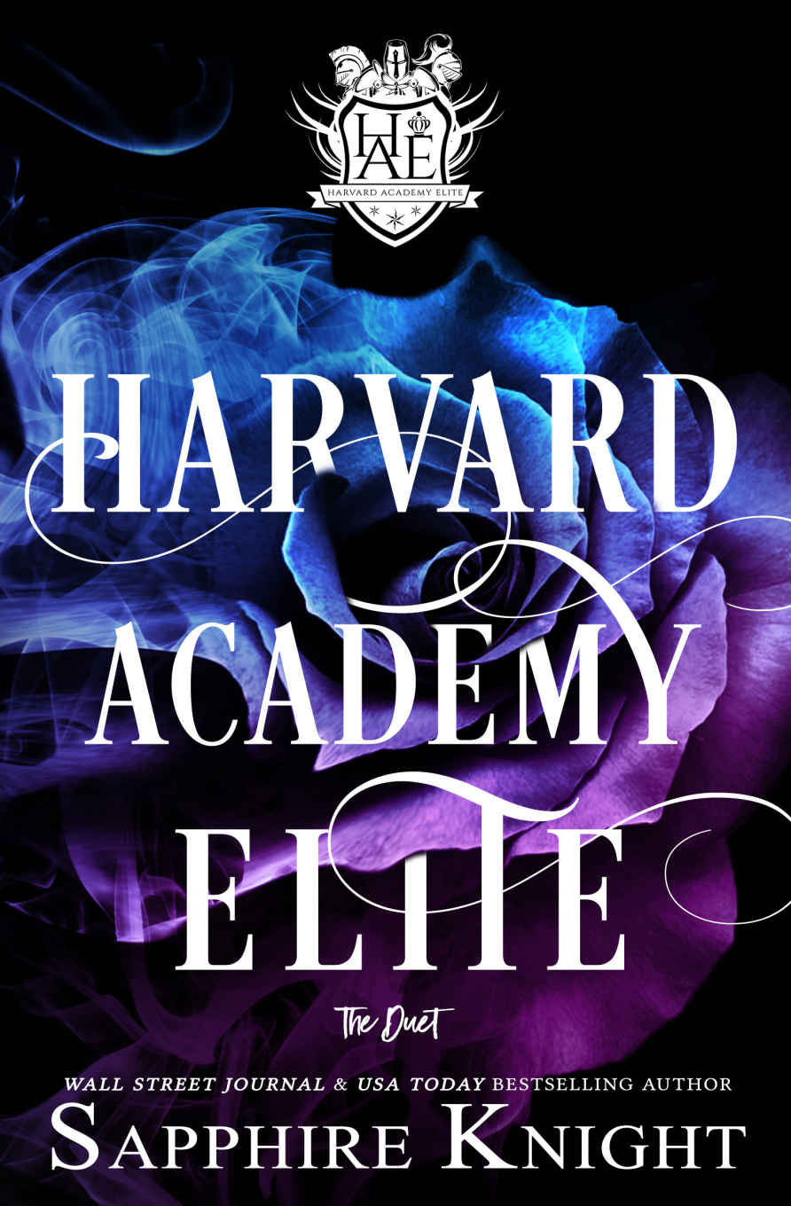 Harvard Academy Elite 02 Harvard Academy Elite Knight Sapphire
