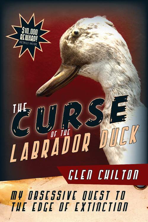 The Curse Of The Labrador Duck My Obsessive Quest To The Edge Of Extinction Chilton