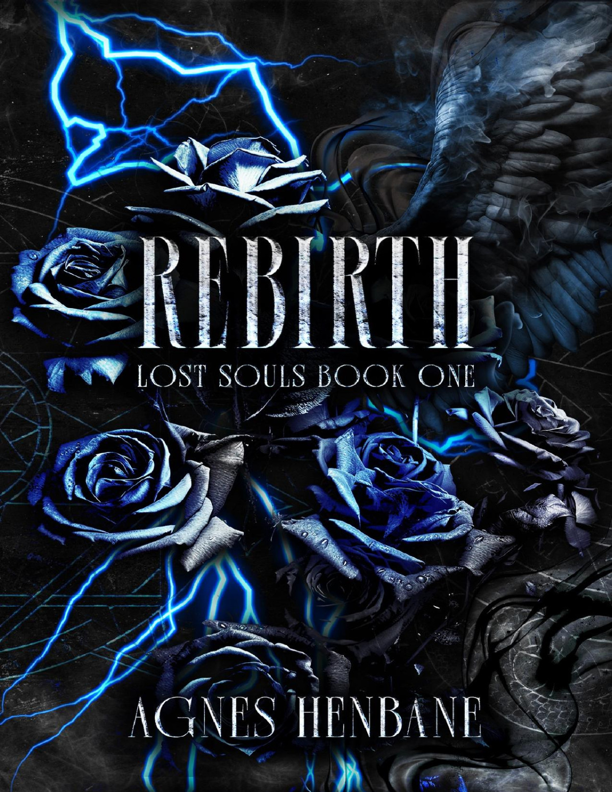 Rebirth Lost Souls Book 1 Agnes Henbane