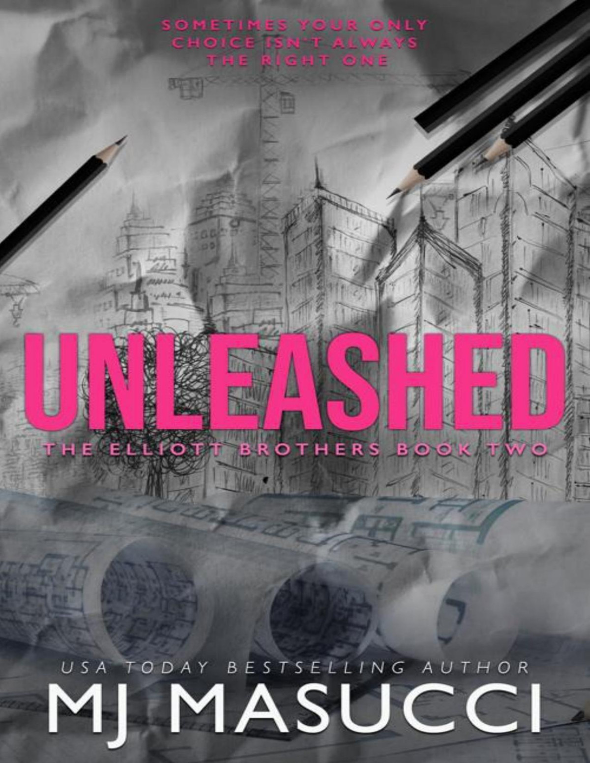 Unleashed The Elliott Brothers Book 2 Mj Masucci