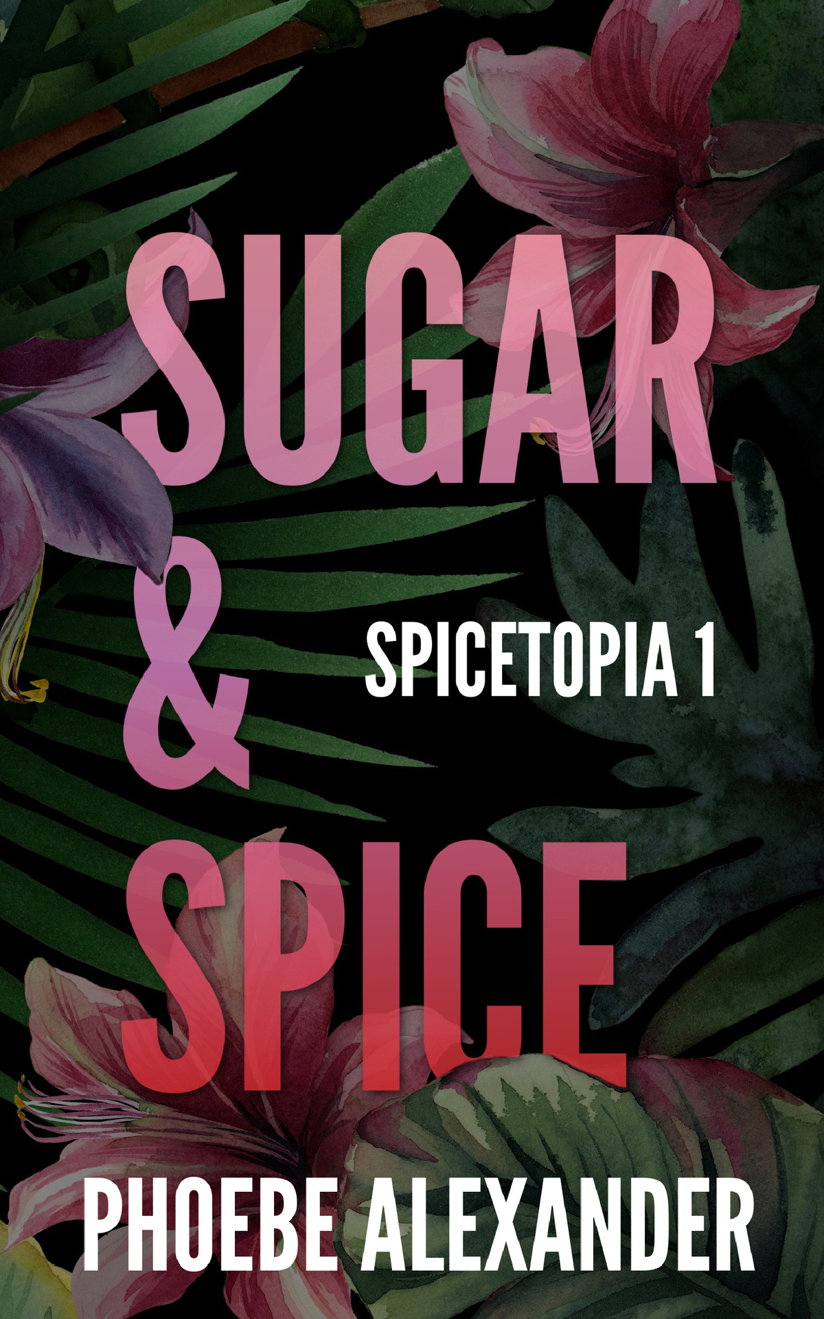 Sugar Spice Spicetopia Book 1 Phoebe Alexander
