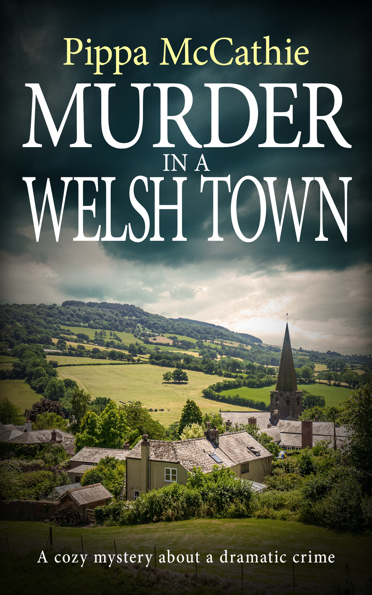 Murder In A Welsh Town Havard And Lambert Mystery 4 Pippa Mccathie