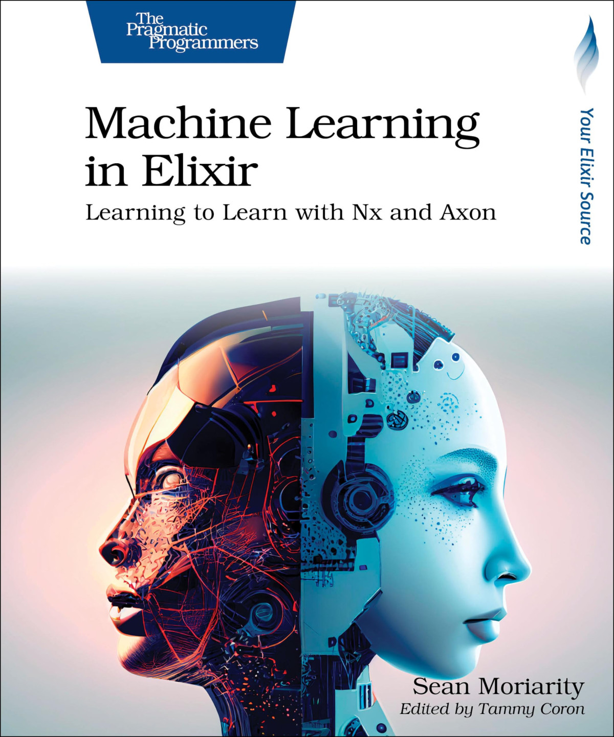 Machine Learning In Elixir 1st Edition Sean Moriarity