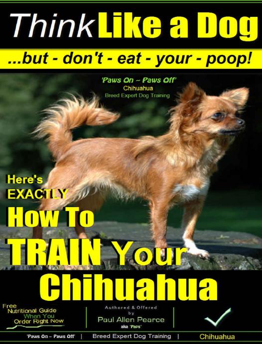 Chihuahua Dog Training Think Like A Dogbut Dont Eat Your Poop Chihuahua Breed Expert Training Heres Exactly How To Train Your Chihuahua Pearce