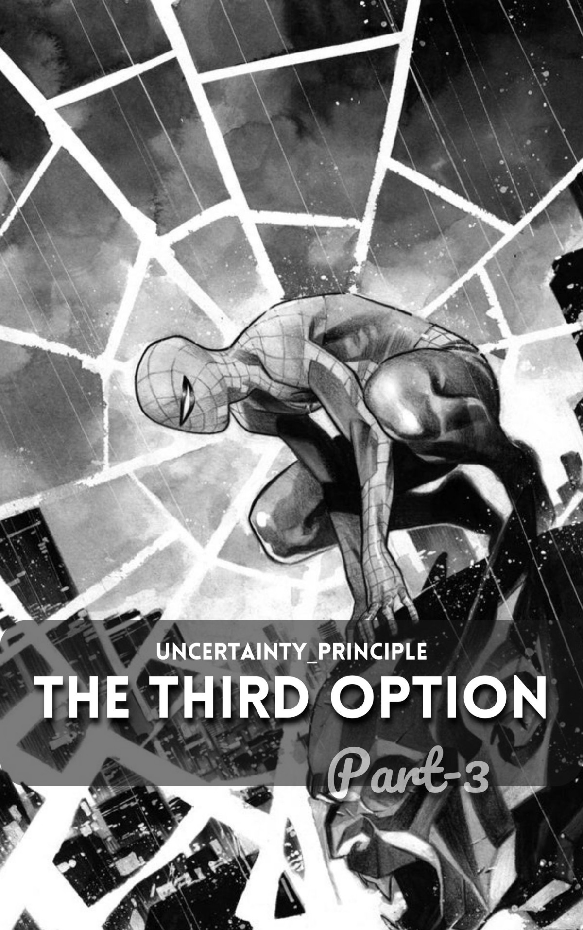 The Third Option 3 Uncertaintyprinciple