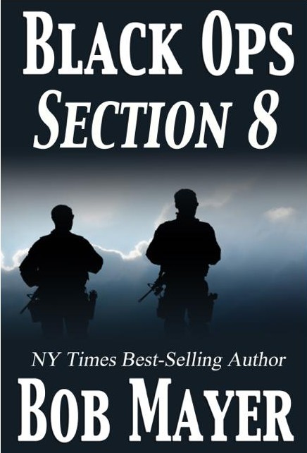 Jim Vaughn 01 Section 8 Mayer Bob
