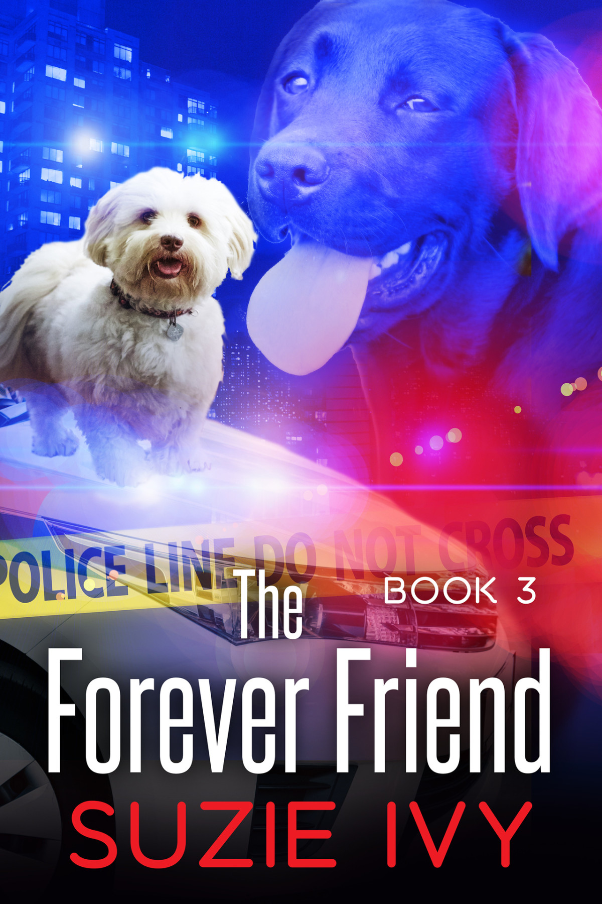 The Forever Friend A Laci Jolett Mystery 03 Suzie Ivy
