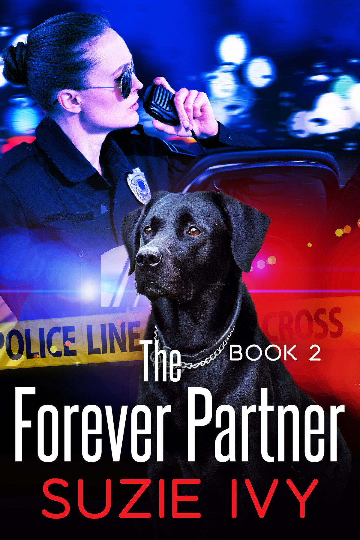 The Forever Partner A Laci Jolett Mystery Book 2 Suzie Ivy