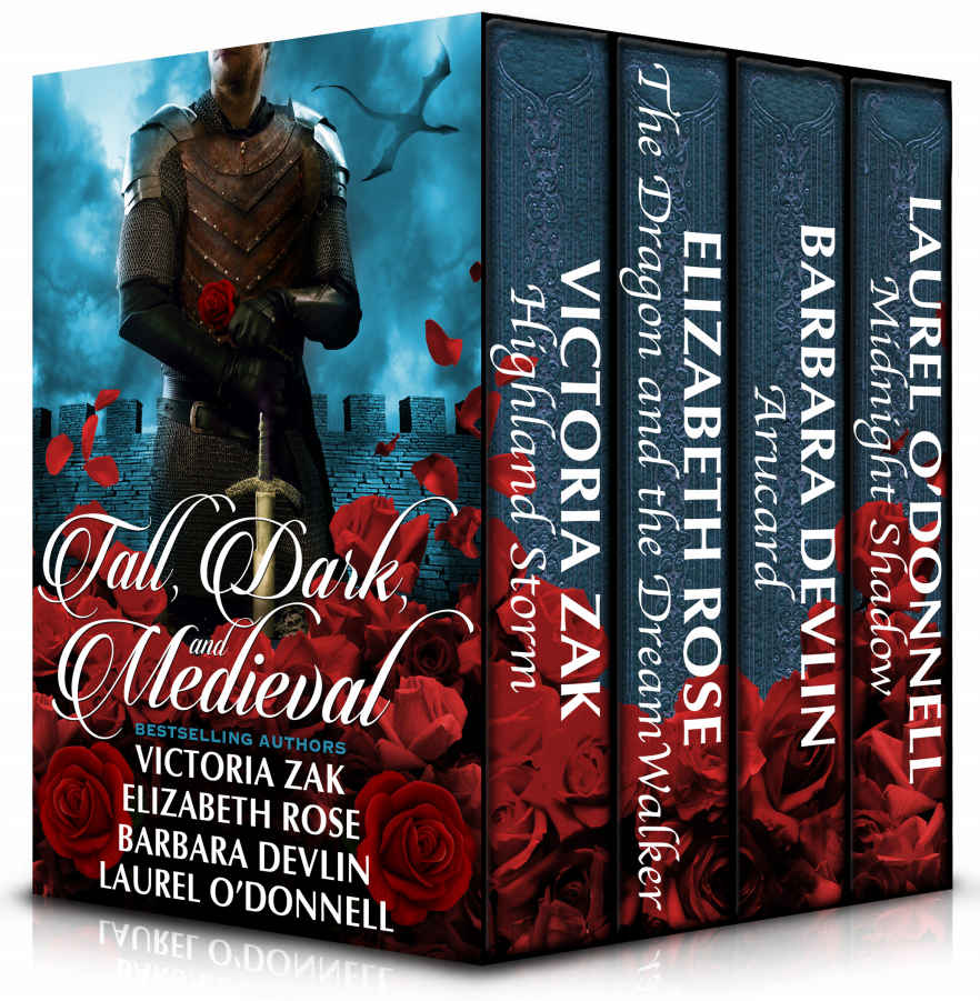 Elemental 01 Tall Dark And Medieval Devlin Barbara Rose