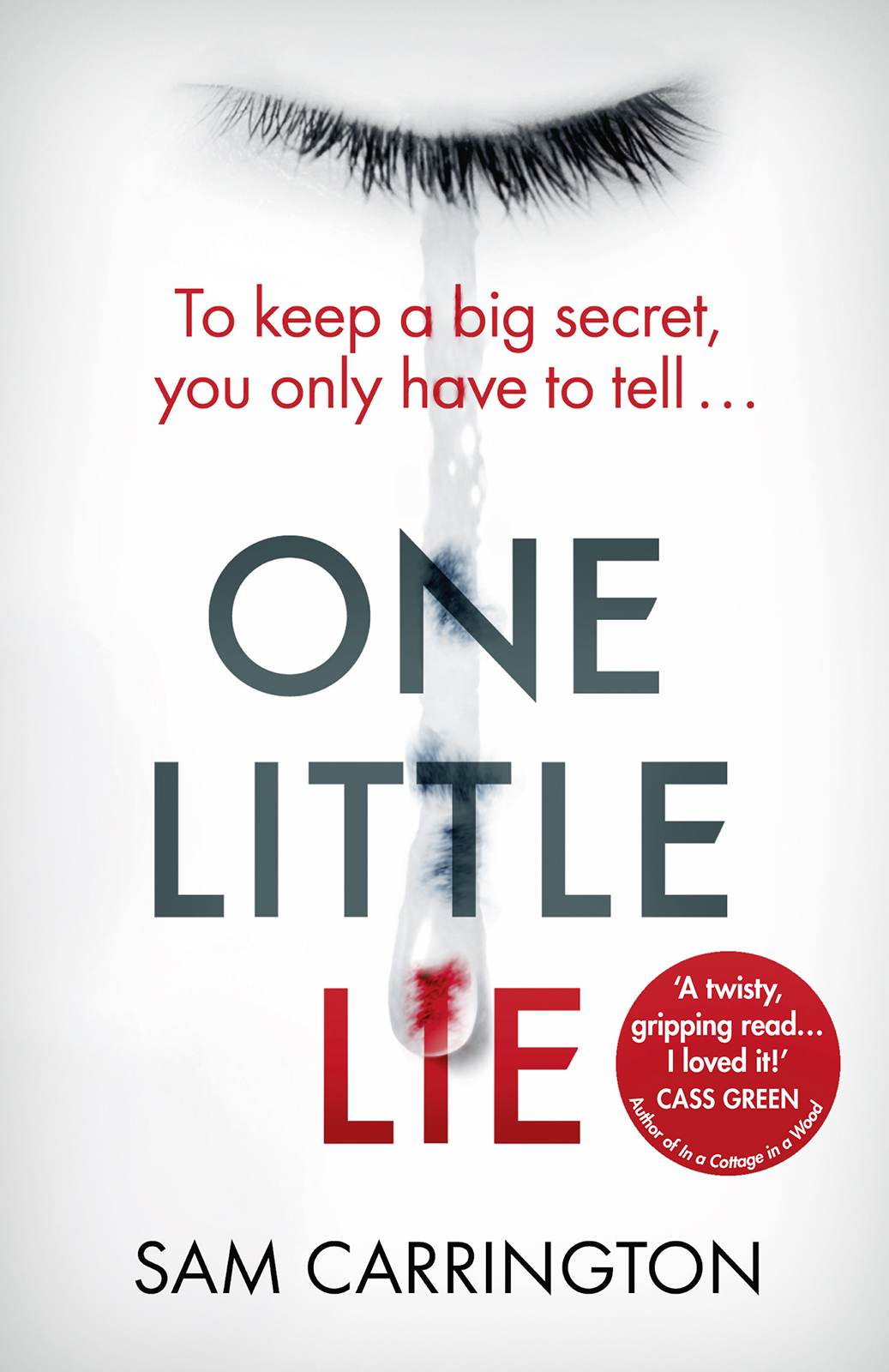 One Little Lie Carrington Sam