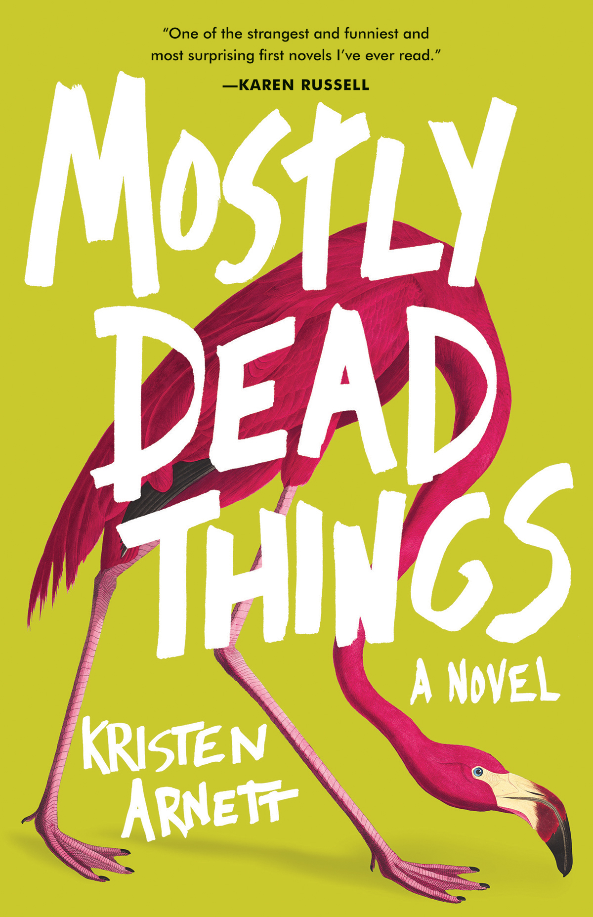 Mostly Dead Things Kristen Arnett