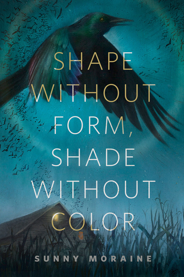 Shape Without Form Shade Without Color Moraine Sunny
