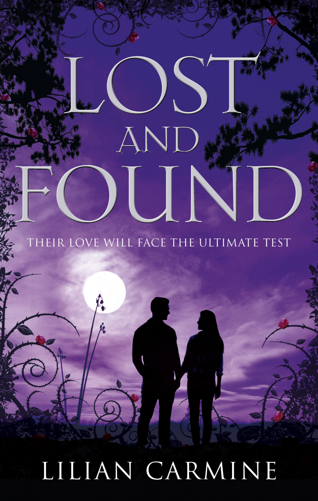The Lost Boys 03 Lost And Found Carmine Lilian