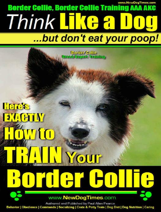 Border Collie Border Collie Training Aaa Akc Think Like A Dog But Dont Eat Your Poop Border Collie Breed Expert Training Heres Exactly How To Train Your Border Collie Paul Allen Pearce