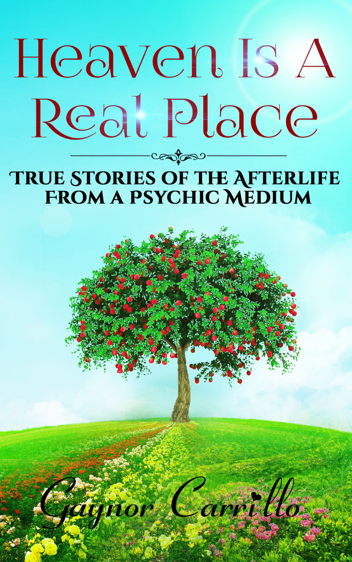 Heaven Is A Real Place True Stories Of The Afterlife From A Psychic Medium Carrillo