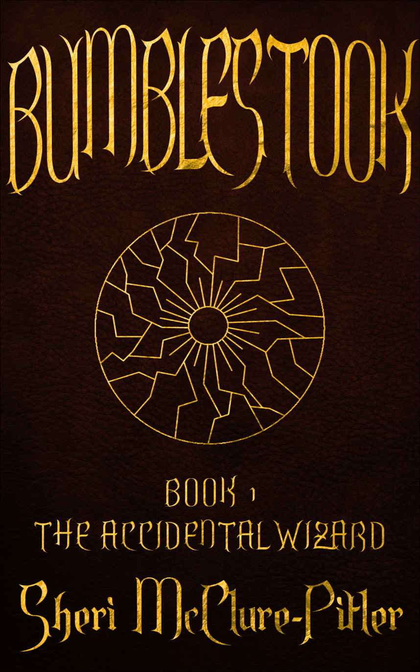 The Accidental Wizard 01 Bumblestook Mcclurepitler Sheri