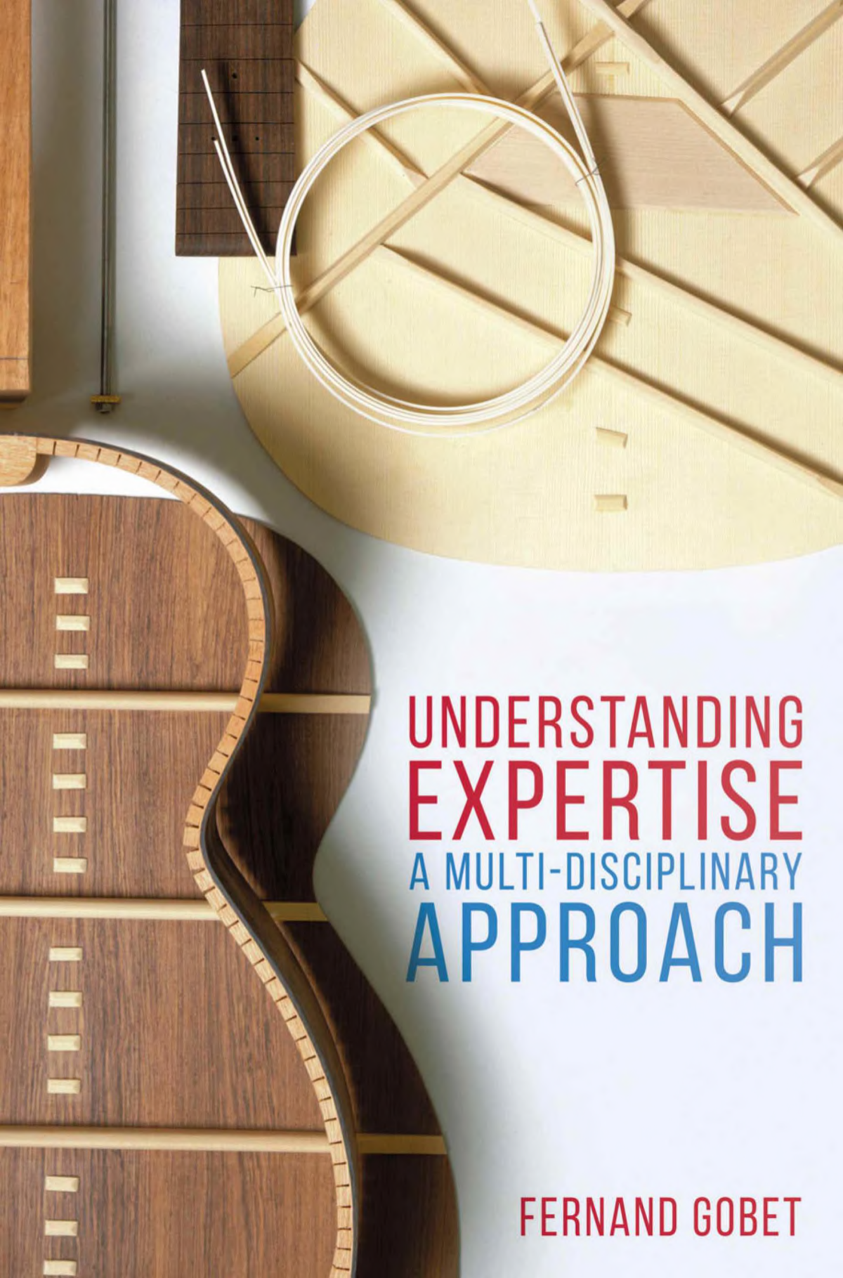 Understanding Expertise A Multidisciplinary Approach Fernand Gobet