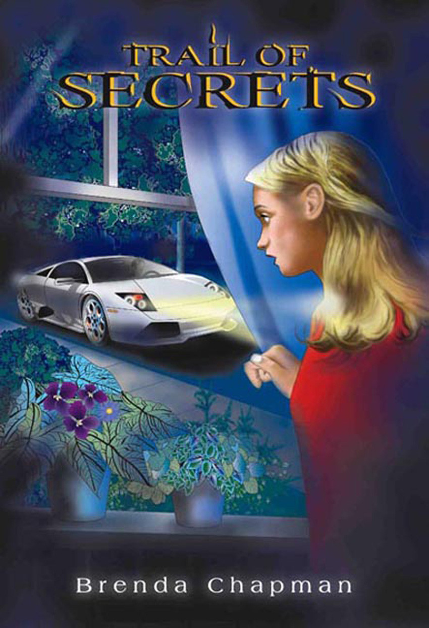 Trail Of Secrets Chapman Brenda