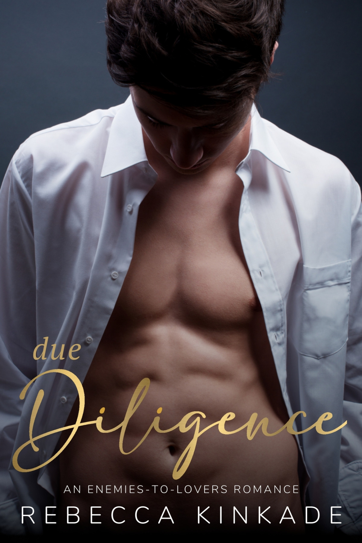 Due Diligence An Enemiestolovers Romance Rebecca Kinkade