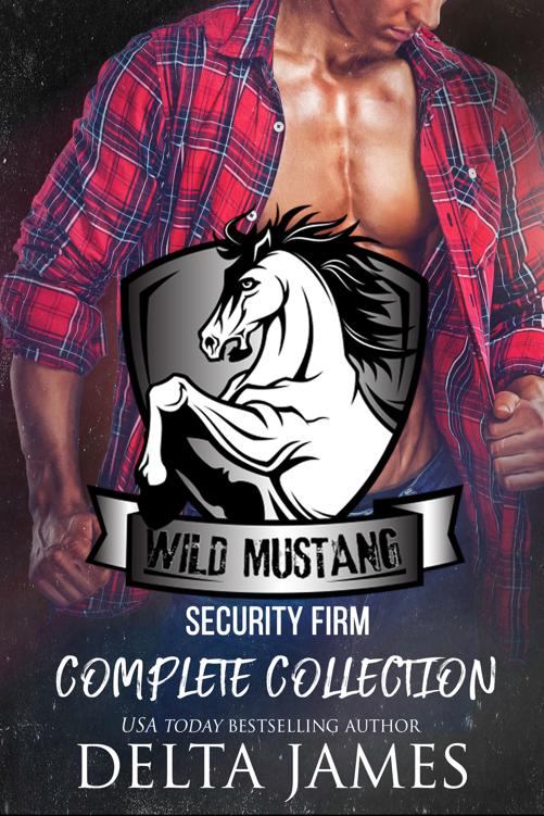 Wild Mustang Security Firm Complete Collection Books 16 Second Chance Enemies To Lovers Small Town Romances Delta James