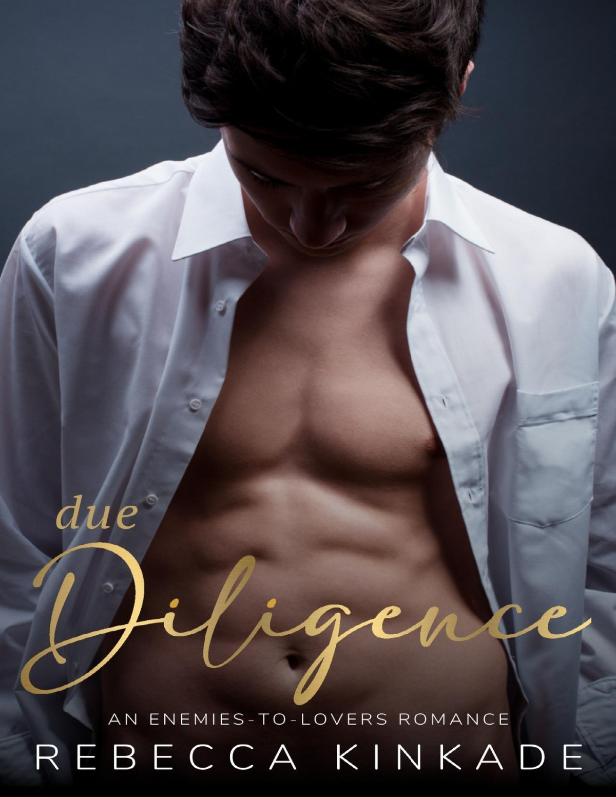 Due Diligence An Enemiestolovers Romance 1st Edition Rebecca Kinkade