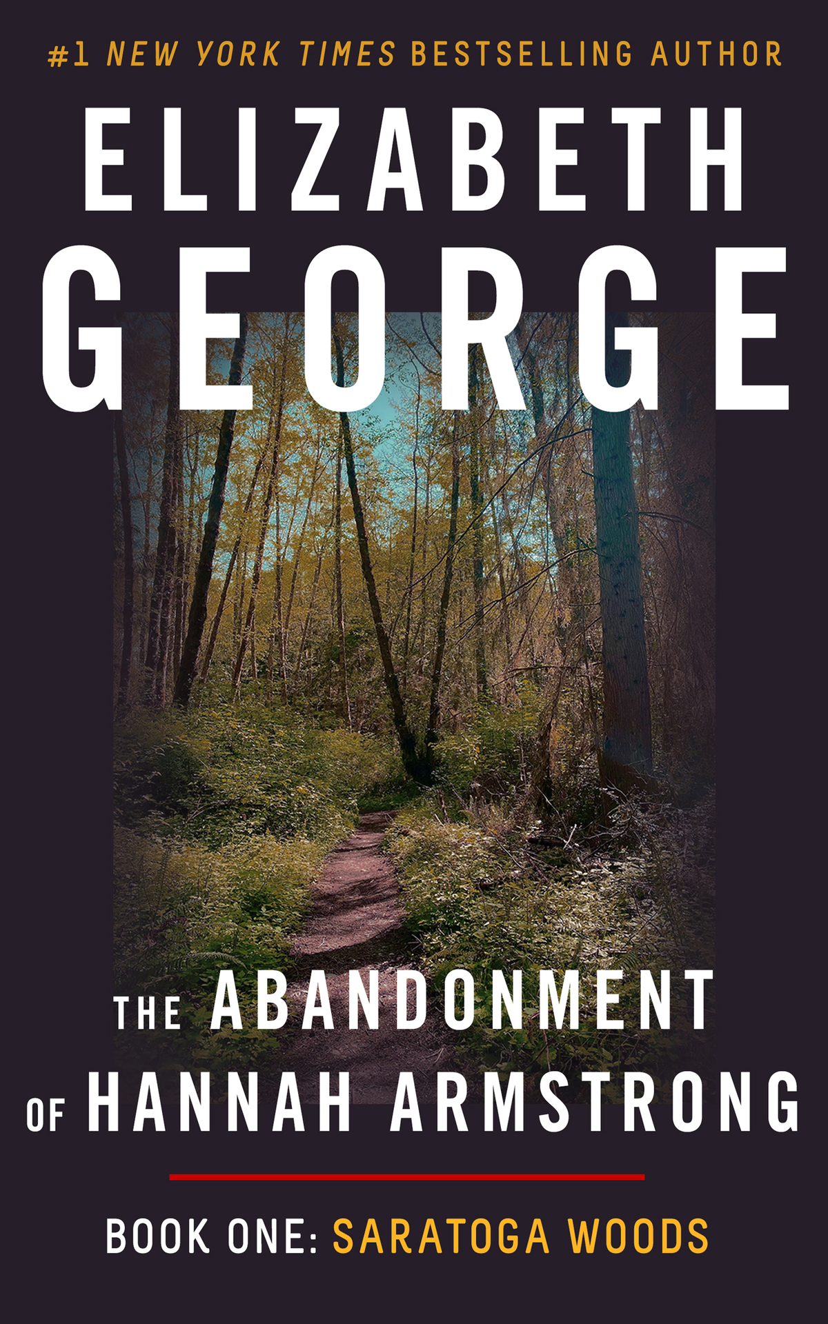 Saratoga Woods The Abandonment Of Hannah Armstrong Book 1 Elizabeth George