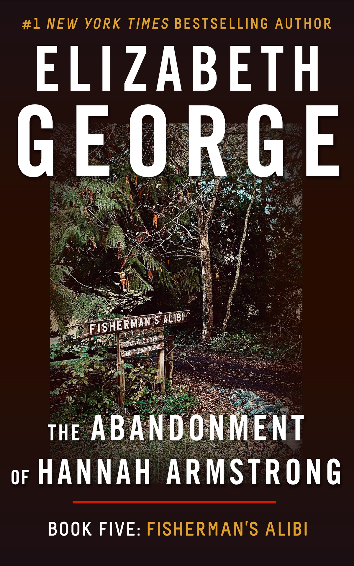 Fishermans Alibi The Abandonment Of Hannah Armstrong Book 5 Elizabeth George