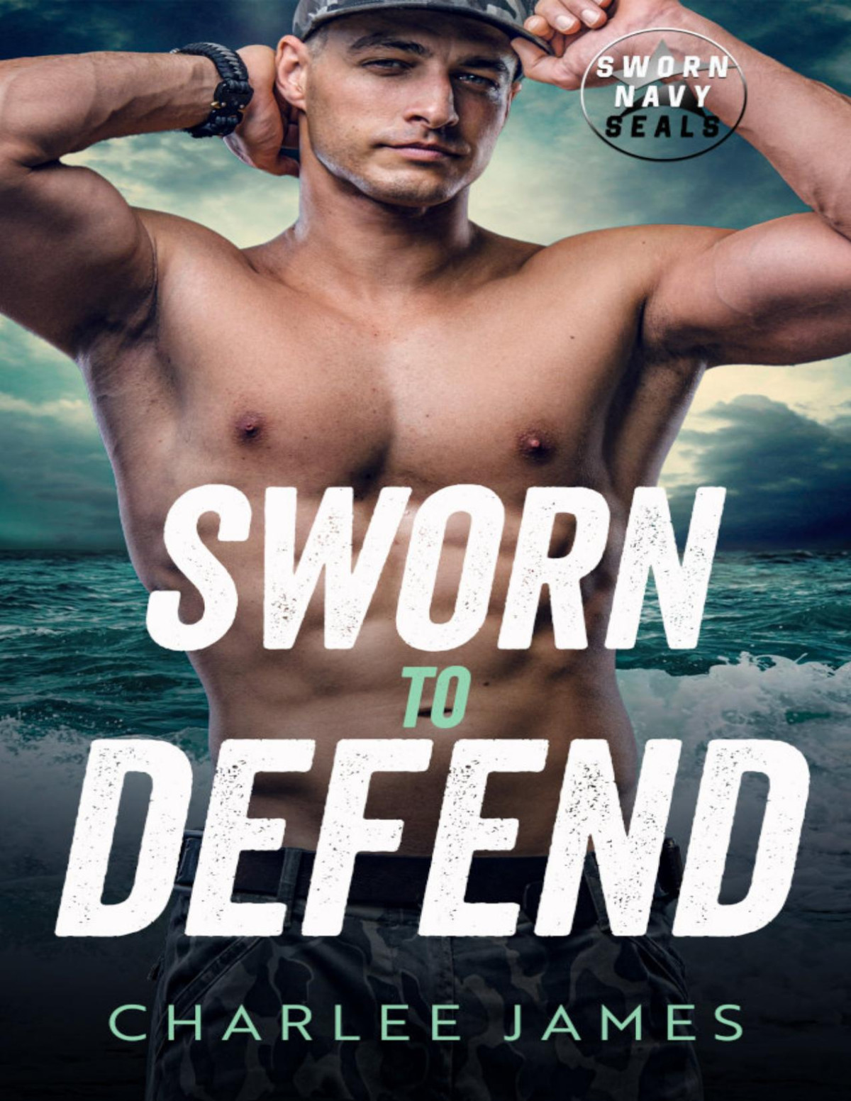 Sworn To Defend 1st Edition Charlee James