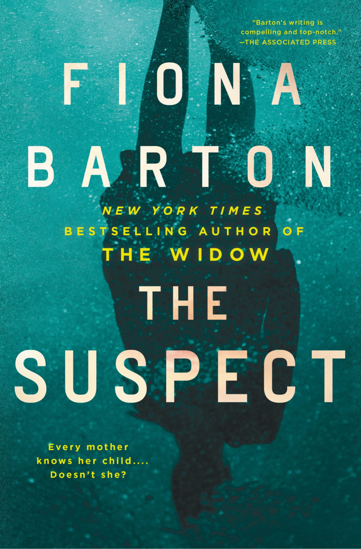 Kate Waters 03 The Suspect Barton Fiona