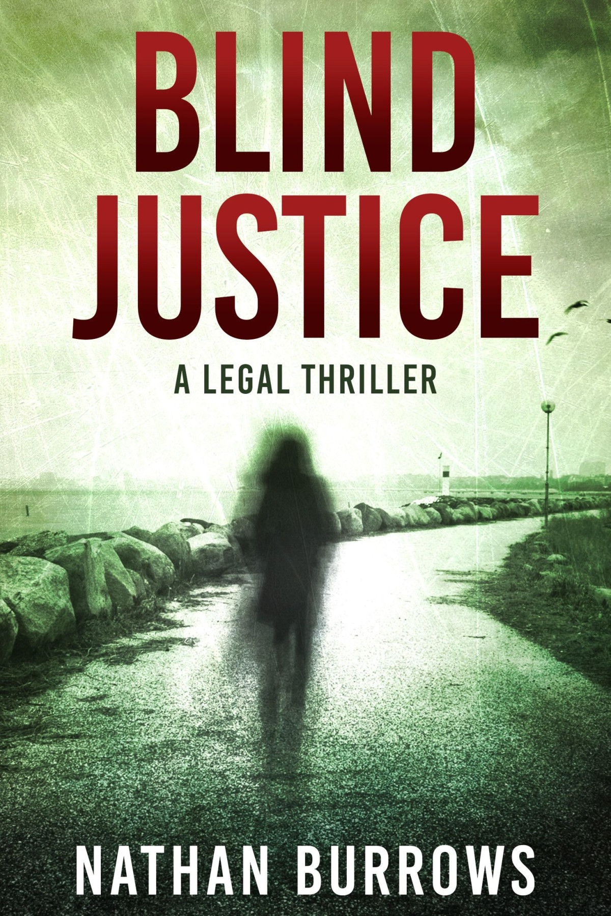Blind Justice Burrows Nathan